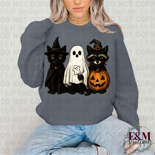 Cat, Ghost, & Raccoon