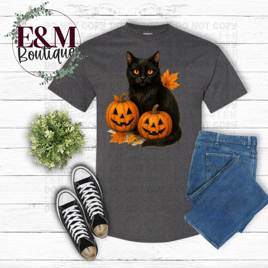 Black Cat and Pumpkins
