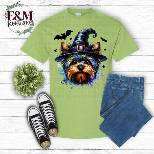 Halloween Yorkie