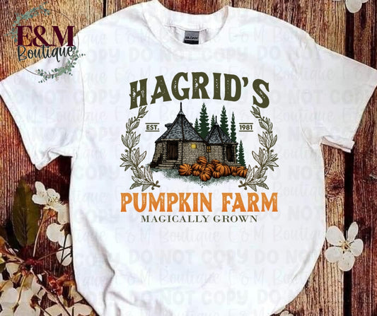 Hagrid’s Pumpkin Farm